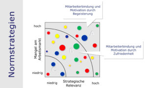 Rollenportfolio, Funktionsportfolio: Inhaber von Schlüsselfunktionen und Engpassfunktionen binden und motivieren (Normstrategien)